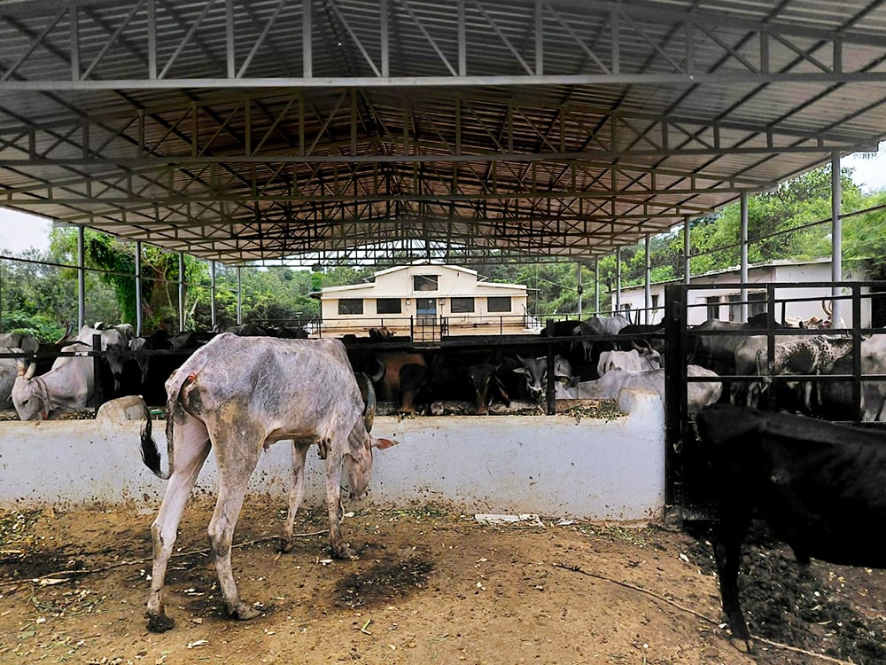 Visit of Rashtrotthana Project by Teachers of JGRVK – Ramamurthy Nagar (9)