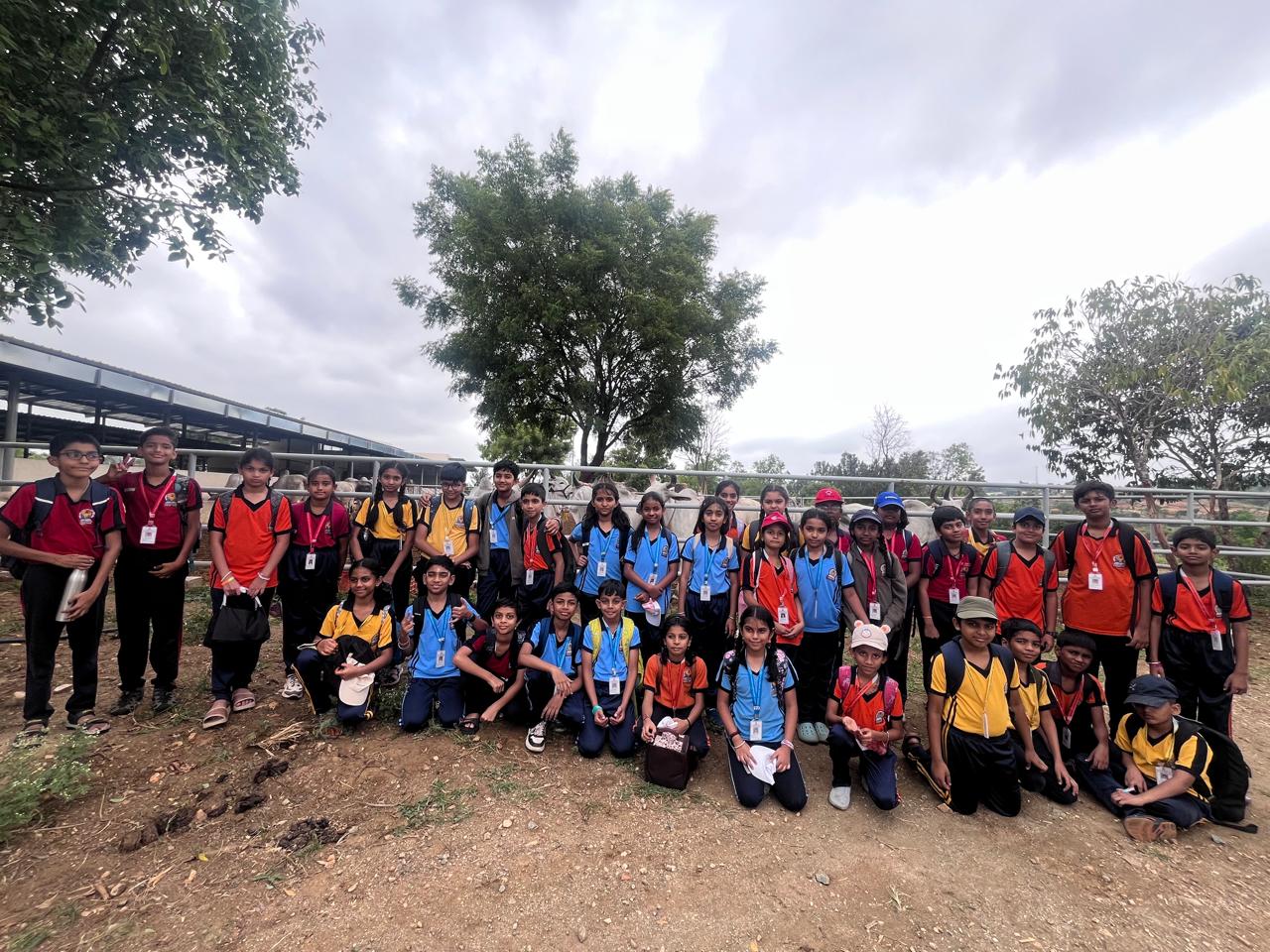 JGRVK – Ramamurthy Nagar students visit to Rashtrotthana Goshala (3)