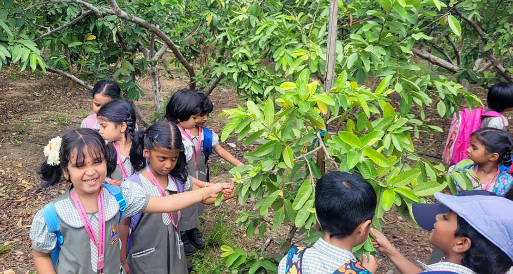 JGRVK – Ramamurthy Nagar Students Experience Farm Life in Hoskote Experiential Learning Visit (3)